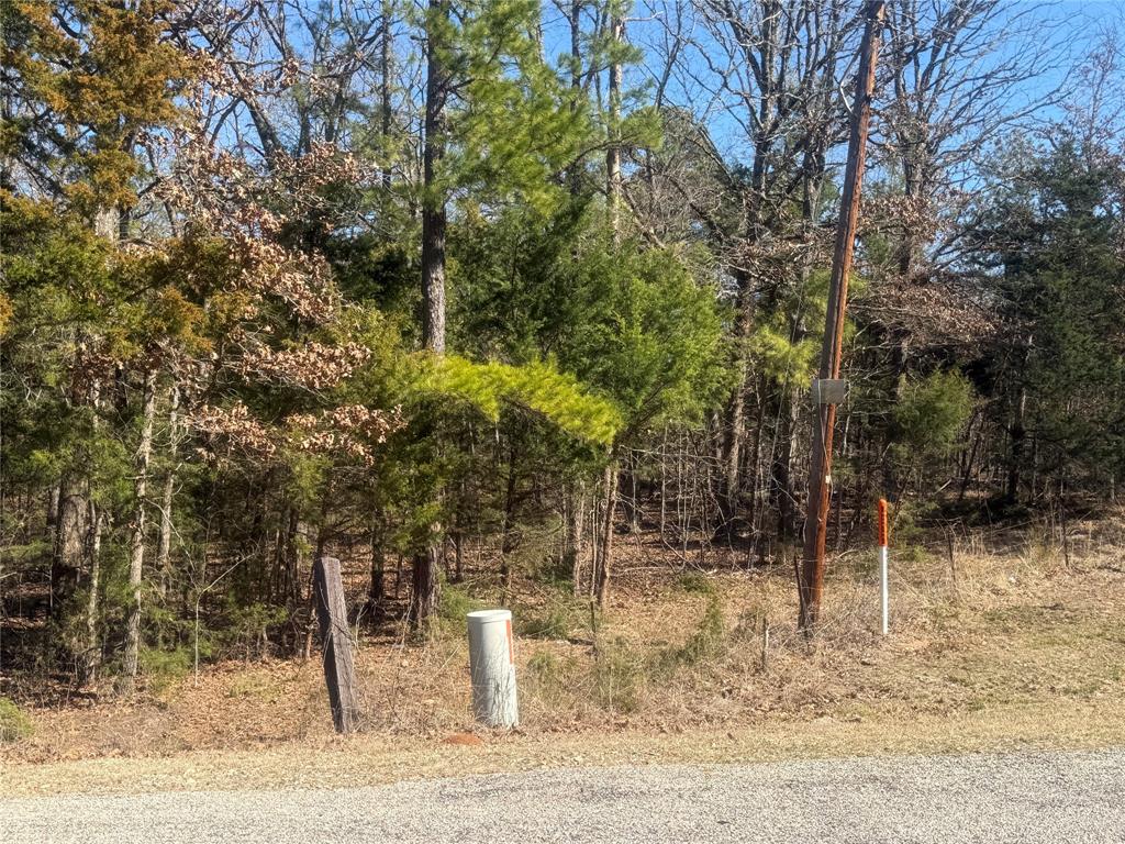 Choctaw Ridge #1 - Land
