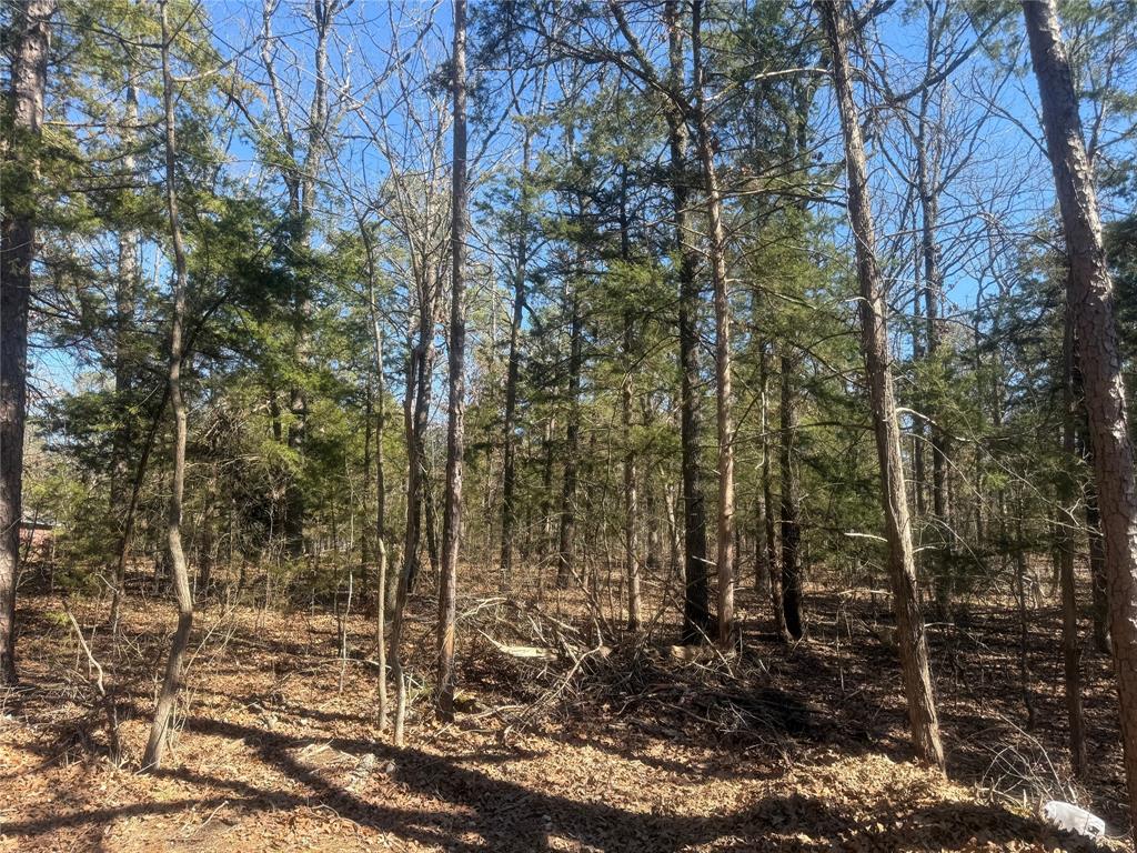 Choctaw Ridge #1 - Land