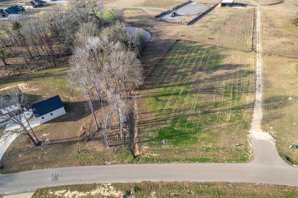 Fabulous opportunity to build your dream home in Bullard ISD on this 1.249-acre lot located in the well-maintained Blue Ridge Estates community. Enjoy a peaceful setting while being just minutes from Tyler, Bullard, and Lake Palestine. The neighborhood features thoughtful deed restrictions, including a minimum of 2,400 square feet of heated and cooled living space and a three-car garage, helping maintain quality and consistency throughout the area. All improvements require developer approval. A beautiful homesite offering both tranquility and convenient access to nearby amenities. Come See! Come Buy!
