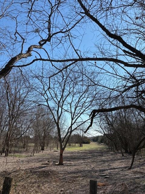 This over 10-acre track offers county road access and peaceful country setting in Wolf City, just 10 from Greenville. Ideal for a home site, or recreational use, the land provides versatility and privacy with NO Known restrictions, it presents a secure and affordable investment opportunity. Incentives available upon request for closing costs or to buy down the interest rate. Contact the agent for details.