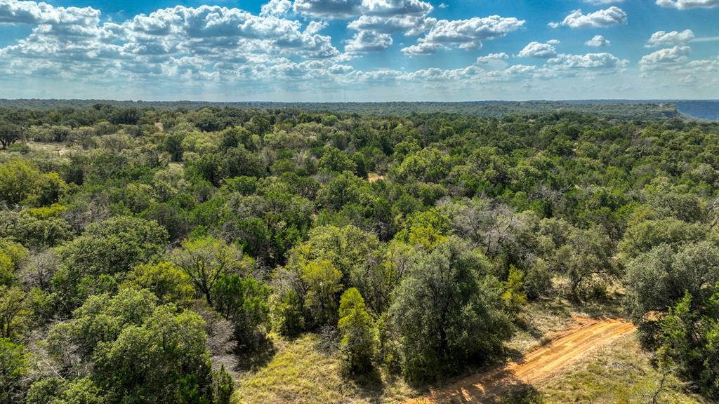 There’s something about land like this… you feel it the moment you step out of your truck.

34+ acres tucked just outside Mineral Wells, where the noise fades, the trees start to whisper, and the possibilities feel wide open. Not the kind of property you just look at… the kind you walk, slow down on, and start picturing what life could look like here.

A natural blend of mature trees and open clearings creates the perfect canvas, whether you’re dreaming of a custom home set back in the privacy, a barndominium with room to roam, or a place where horses, cattle, or weekend escapes become part of your everyday life.

Unrestricted this land gives you freedom real freedom to build, create, invest, or simply hold onto something that’s getting harder and harder to find.

And while it feels like your own private world, you’re still just minutes from Highway 281, making access easy without sacrificing the peace you came here for.

Close enough to the Brazos River to enjoy the beauty of North Texas landscape, yet far enough to feel like you’ve escaped it all.

This isn’t just acreage… it’s a blank page.
And the best part? You get to decide how the story unfolds.