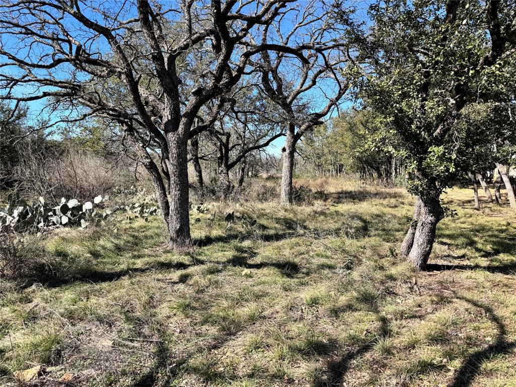 Great buildable lot in The Hideout resort. This lot features a few trees with a water view through the trees. This lot comes with free golf year round and access to the pool area in the summer time. As an owner, there is access to RV parking for guests, as well as discounts on lodging and package deals for stay and play. The golf course is challenging and fun and there is a practice area as well. Come take a look today and make this piece of Texas YOUR next piece of Texas.
