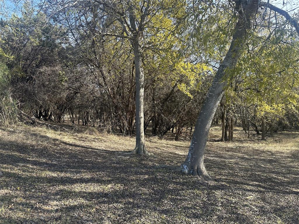 White Bluff - Land