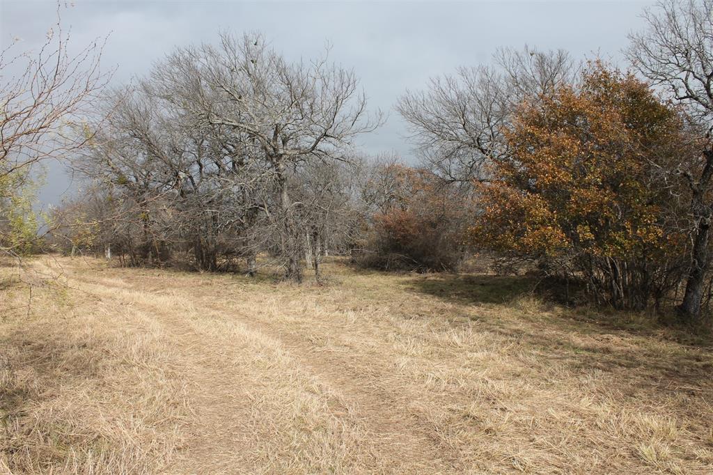 Beautiful interior lot with 1.6 acres within North Star Pointe on Lake Bridgeport. This is an upscale gated community, North Star Pointe. Lake Bridgeport, a 12,000 acre lake that is a first choice of boaters, skiers, fishermen, and other water sports. The community features its own private water system, paved streets, underground utilities, on one plus size acre lots. The community pool and boat ramp at North Star Pointe are available to all owners. Come enjoy the lake.