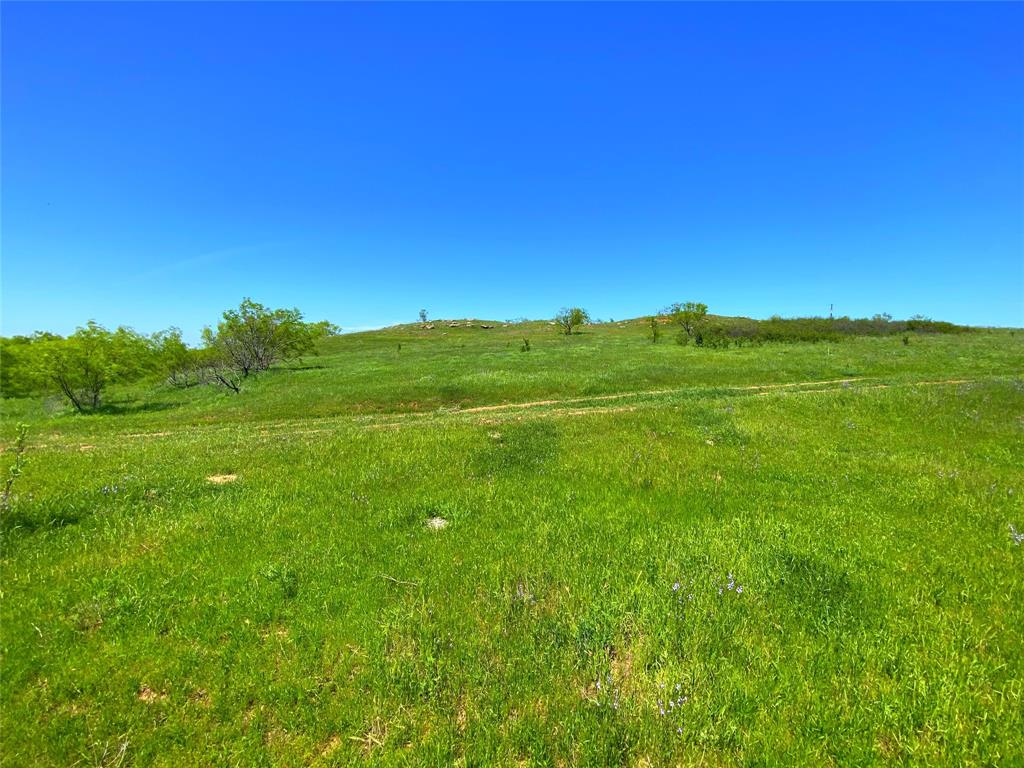275.069 Acres, Block 2827, TE&L Co. Survey, A-765 - Land