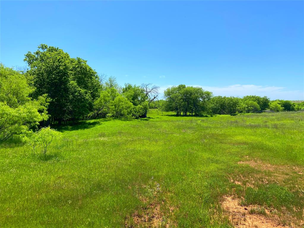 275.069 Acres, Block 2827, TE&L Co. Survey, A-765 - Land