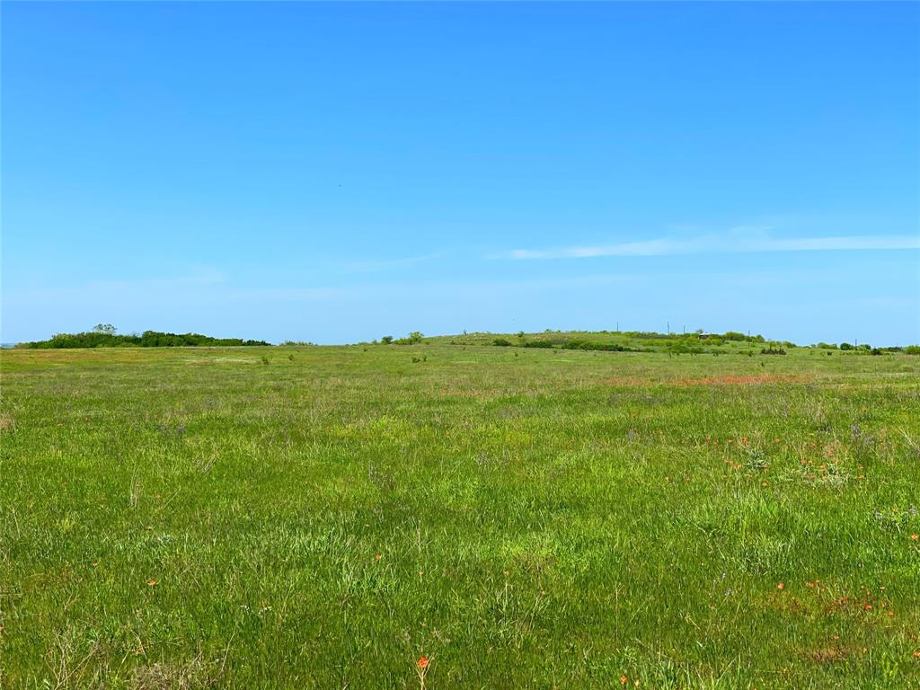 275.069 Acres, Block 2827, TE&L Co. Survey, A-765 - Land