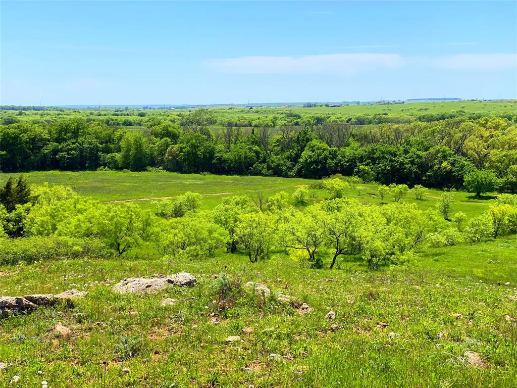 275.069 Acres, Block 2827, TE&L Co. Survey, A-765 - Land