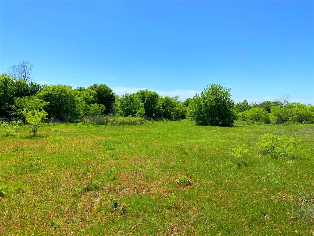 275.069 Acres, Block 2827, TE&L Co. Survey, A-765 - Land