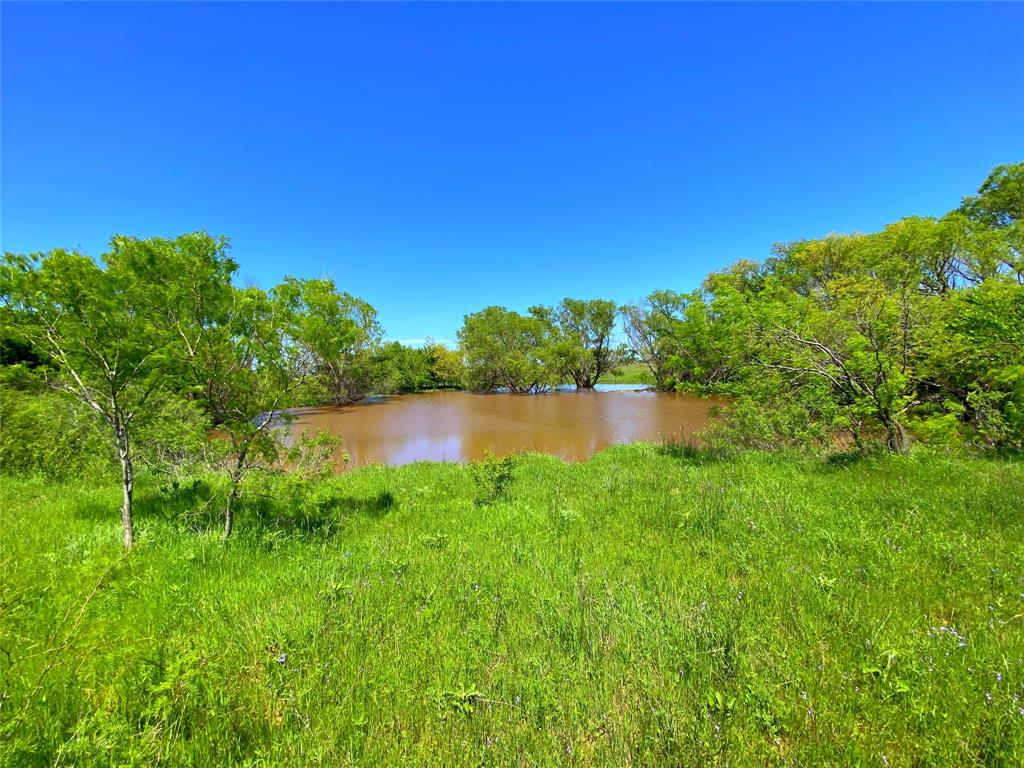 275.069 Acres, Block 2827, TE&L Co. Survey, A-765 - Land