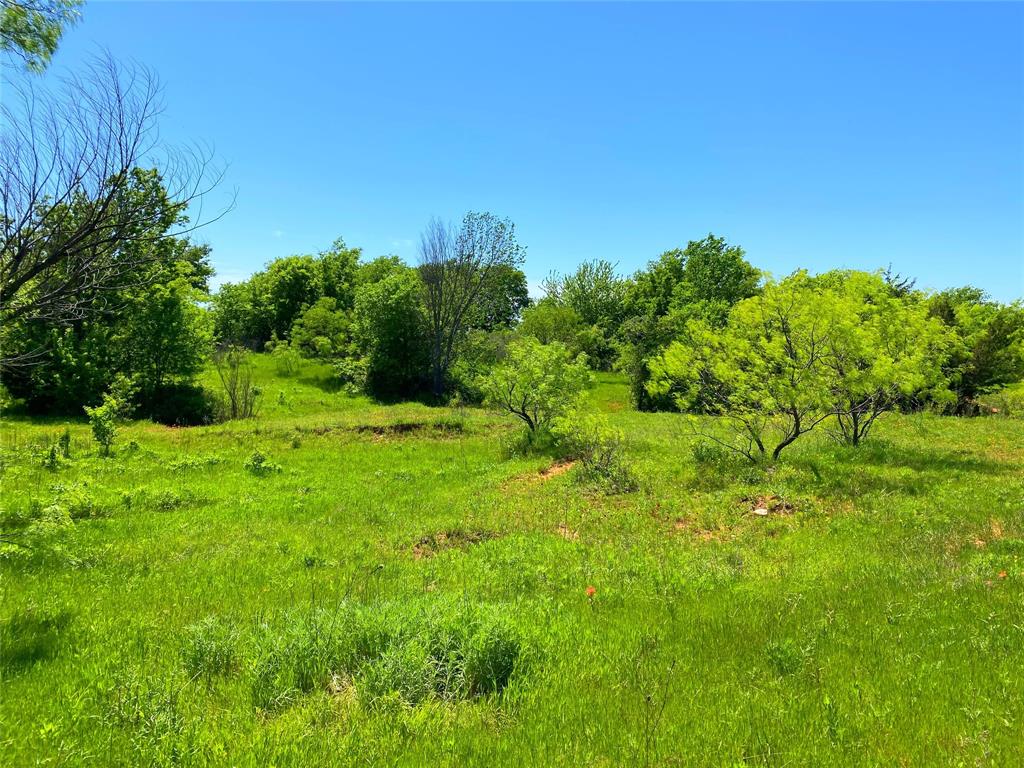 275.069 Acres, Block 2827, TE&L Co. Survey, A-765 - Land