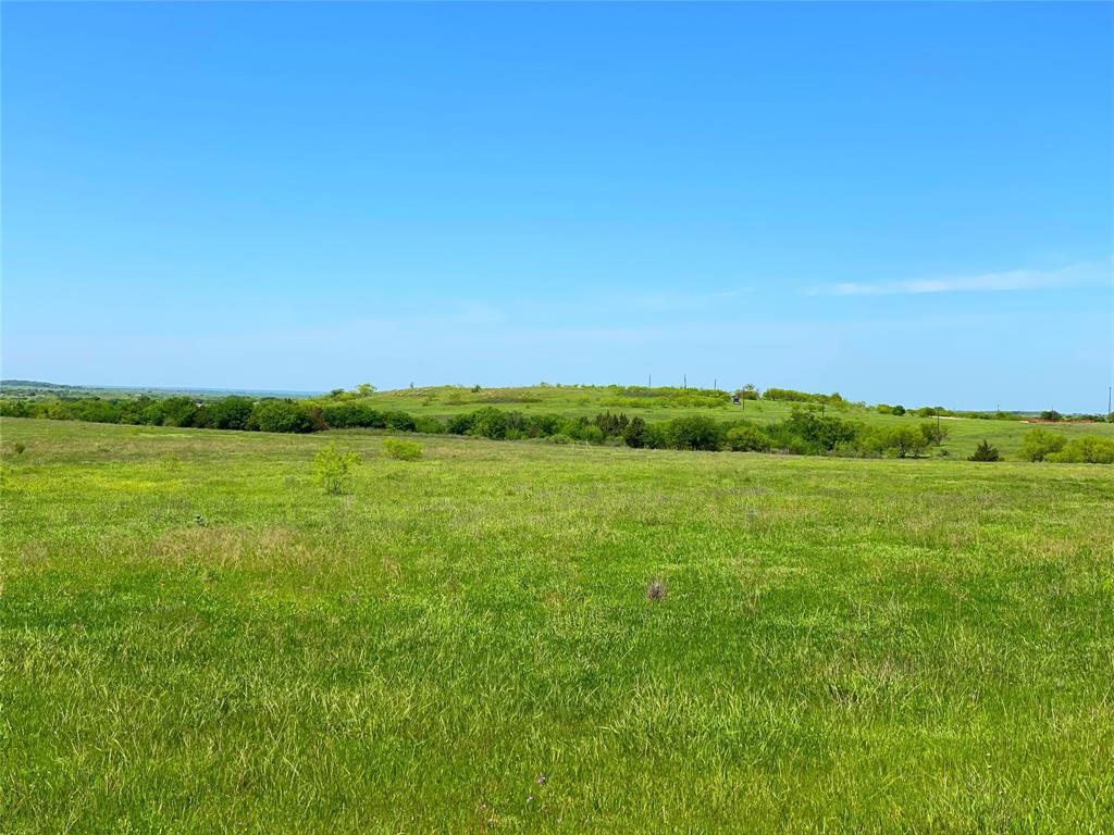 275.069 Acres, Block 2827, TE&L Co. Survey, A-765 - Land