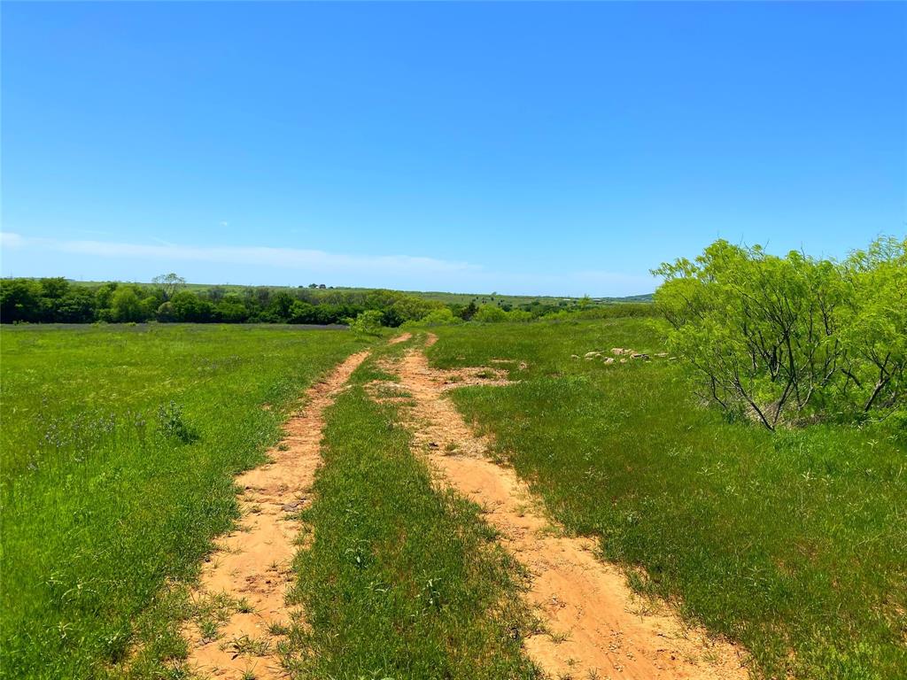 275.069 Acres, Block 2827, TE&L Co. Survey, A-765 - Land