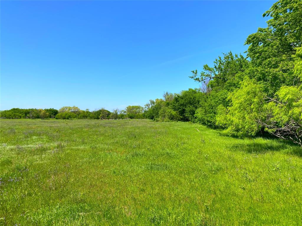 275.069 Acres, Block 2827, TE&L Co. Survey, A-765 - Land