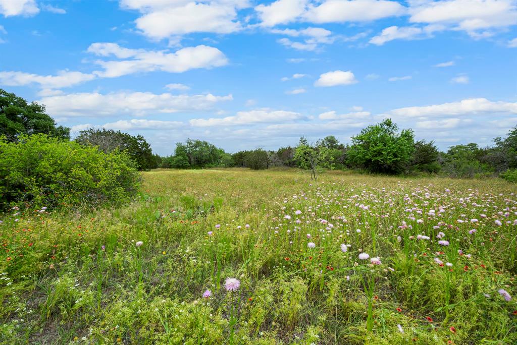 Excellent Development Opportunity!! This 145.03 acres is not zoned which provides a level of flexibility in terms of land use and development. With its desirable features, this property offers great potential for various projects. Grazing pastures provide individuals seeking a versatile property for a long term hold. Located outside the city limits, this tract has sloping topography, abundant trees and stock tanks.  Also, this acreage is large enough to offer seclusion and privacy, making it appealing to those looking to escape the hustle and bustle of the city creating an ideal setting for a private estate or a recreational retreat.