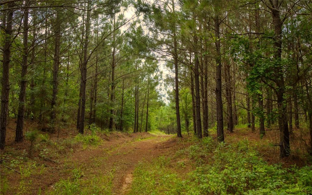 NECHES - Land