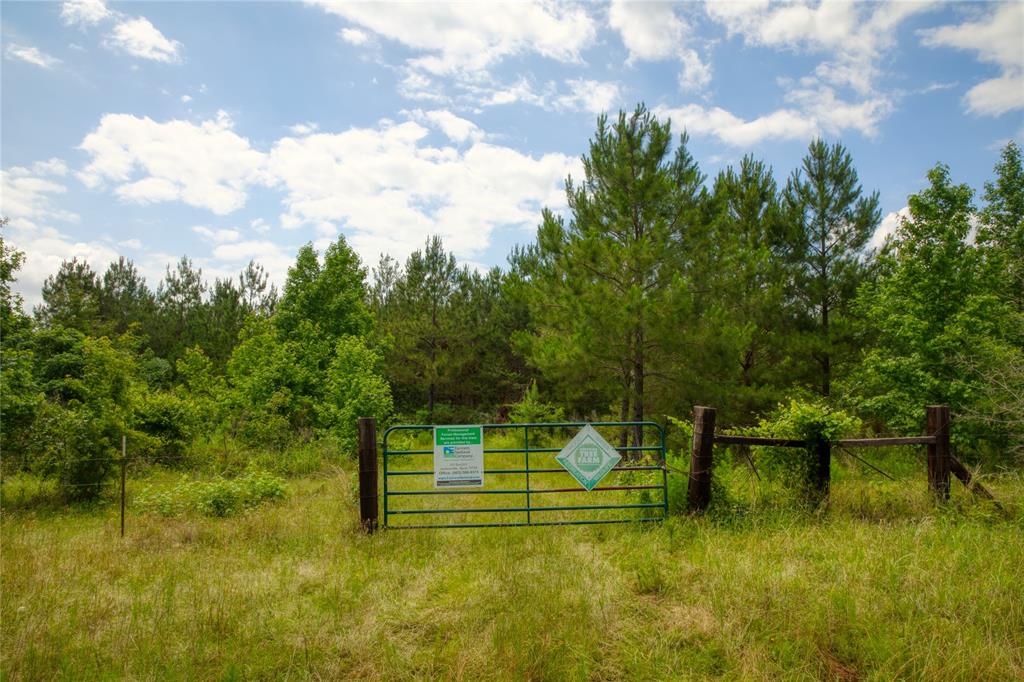 NECHES - Land
