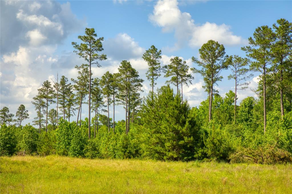 NECHES - Land