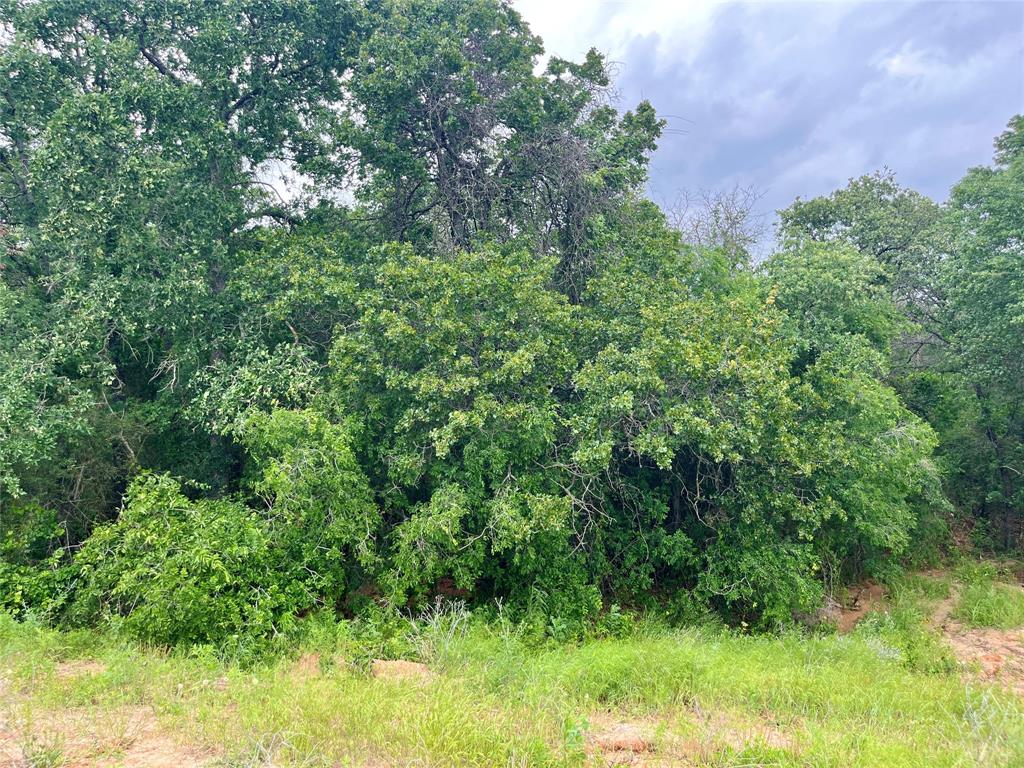 Sarra Ranch Estates - Land
