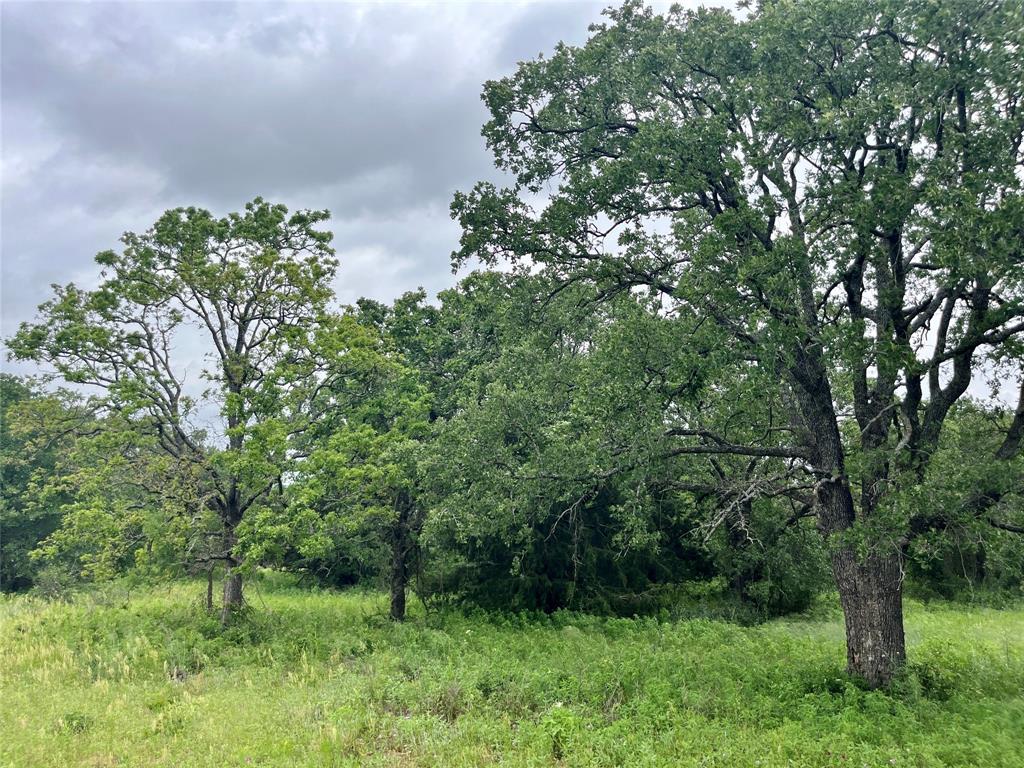 Sarra Ranch Estates - Land