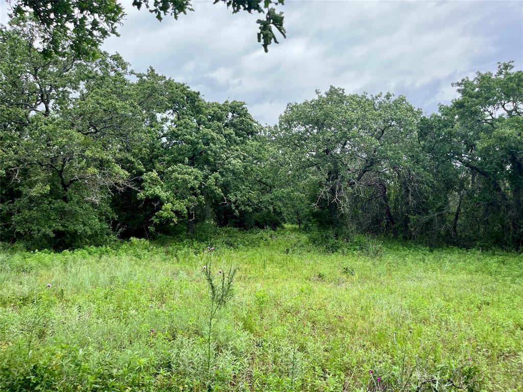 Sarra Ranch Estates - Land