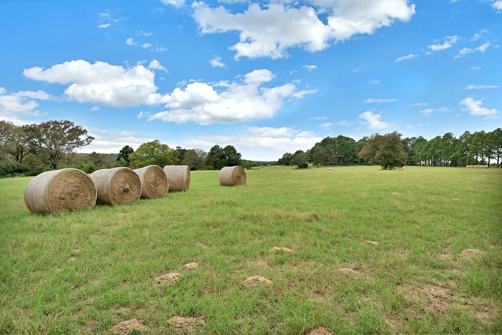B C WALTERS - Farm