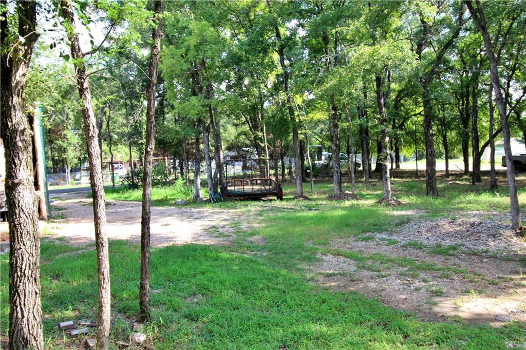 Meadow Lawn - Land
