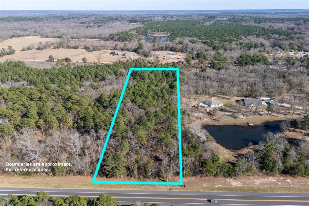 3.128 acres with NO RESTRICTIONS right outside Mineola city limits with direct paved frontage on Loop 564. Only 25 miles to Tyler. Electric available at the road. Rural water available through New Hope Special Utility District (tap-in required). Septic needed — buyer to install. Buyer to verify utilities. Pine timber throughout. New survey available. Owner financing available, closes through a title company.