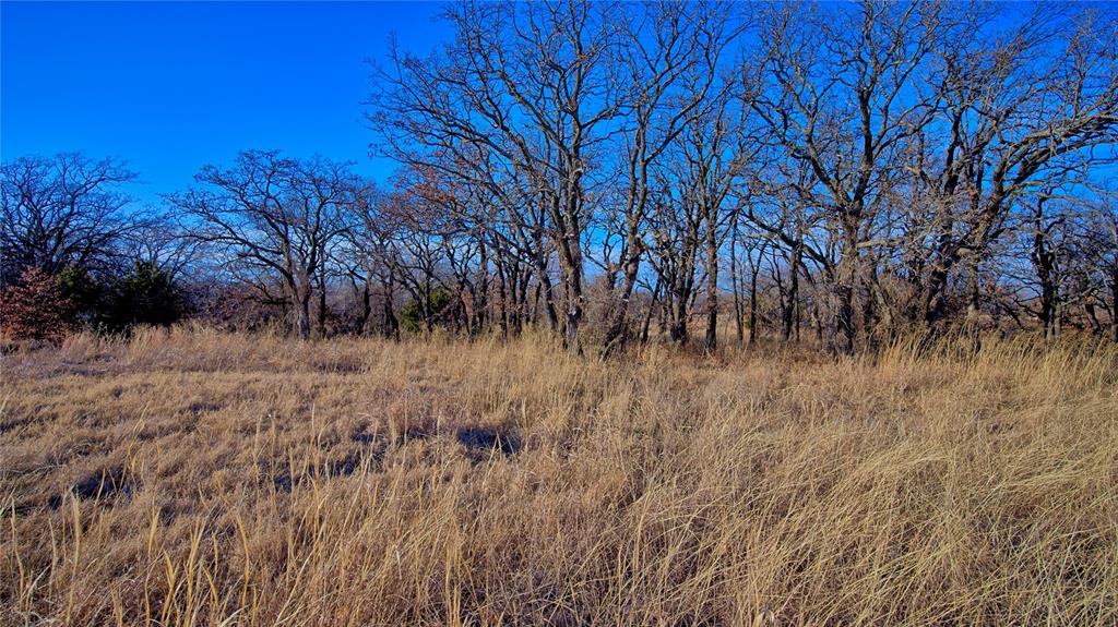 Nocona Hills - Land