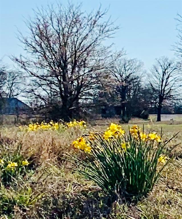 Anna Lake Estates - Land