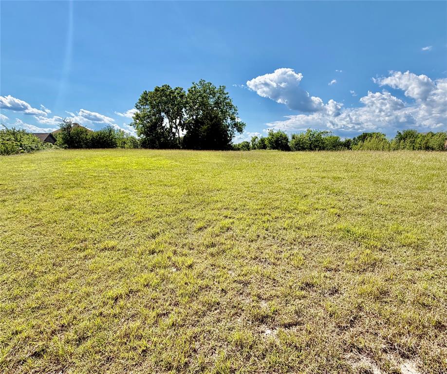 Now is your opportunity to own a piece of land in Monarch Ridge, one of the most exclusive gated lake communities on the shores of Lake Texoma.  Offering spacious homesites, private beach access, boat docks, and breathtaking water views, Monarch Ridge delivers the lifestyle buyers dream about. Build the custom home you have always wanted while enjoying privacy, luxury, and unmatched natural beauty.  Limited lots remain, so secure your place on Lake Texoma before they're gone. MOTIVATED SELLERS taking reasonable offers at this time!!! Contact agent at (903) 816-9563 for further details or questions.