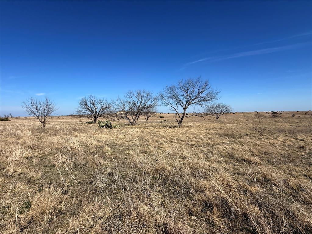This property consists of approximately 19 acres with county road frontage on two sides. The road frontage on two sides provides easy access for one to build entrances and a road going through the property. The landscaping makes for a home to be built very easily. Electricity is available near by and a well would need to be drilled for water. Bring your family pets and animals or purchase a few to maintain the agriculture exemption.