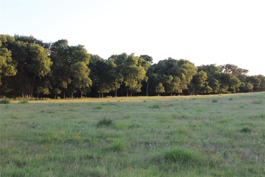 Powell Addition - Land
