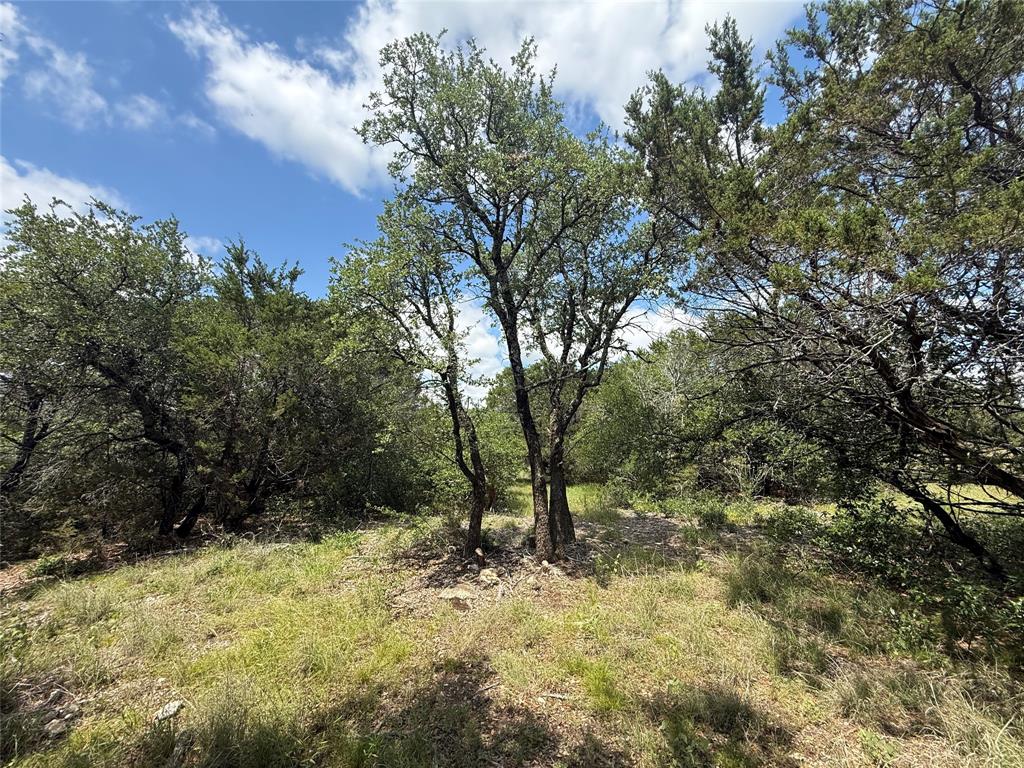 Sanctuary Oaks West - Land
