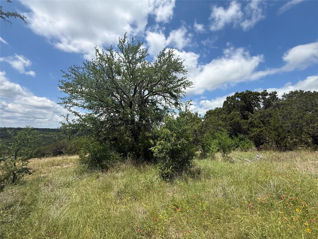 Sanctuary Oaks West - Land