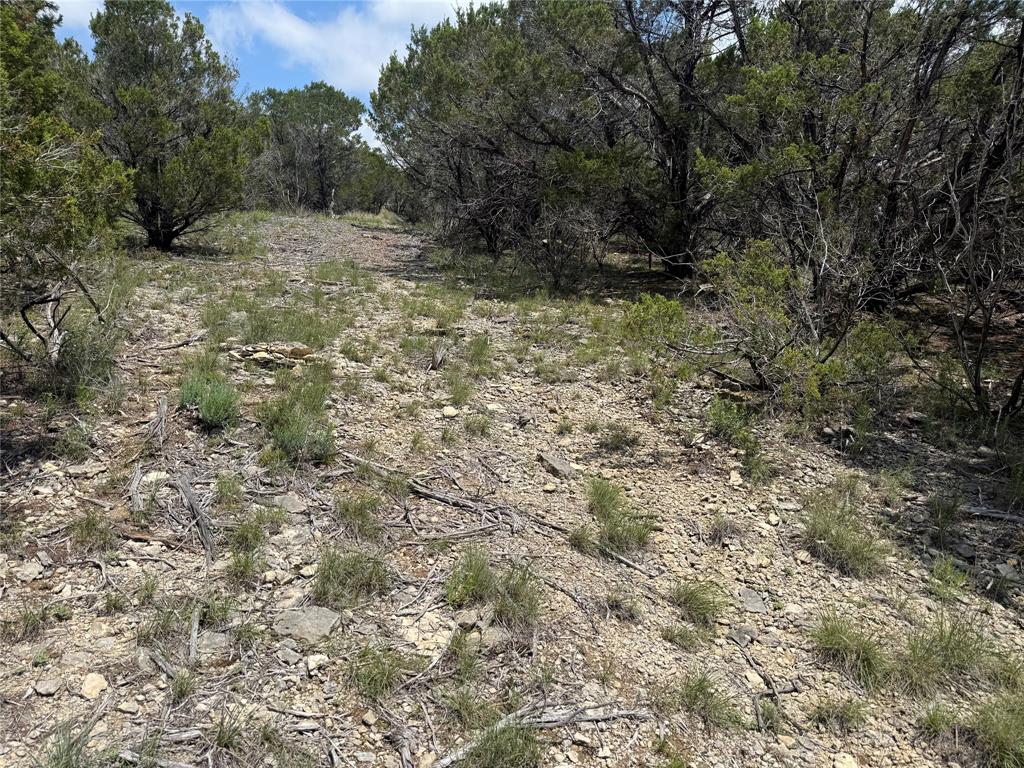 Sanctuary Oaks West - Land