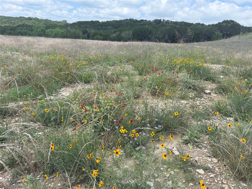 Sanctuary Oaks West - Land