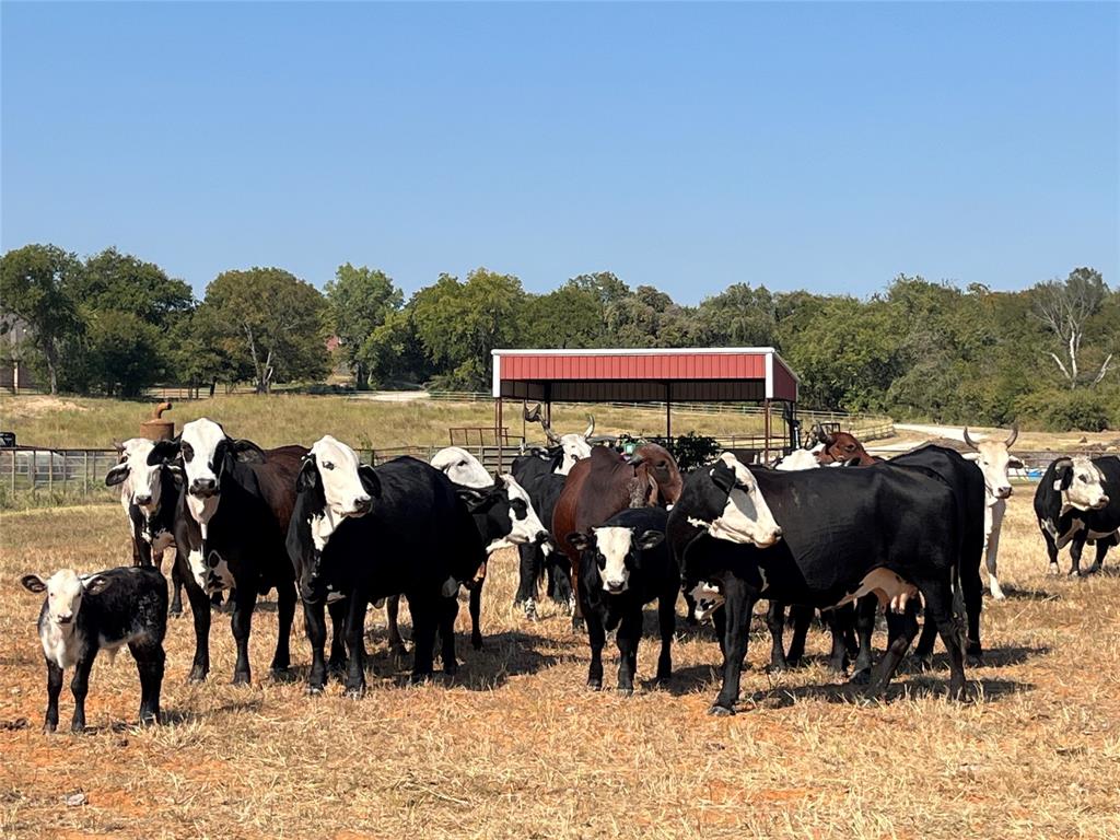 Mep&P Co Surv Abs 1127 Tracts - Land