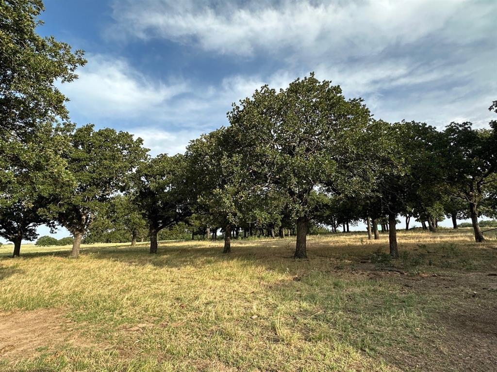 240 Acres William Scarbrough Survey - Farm