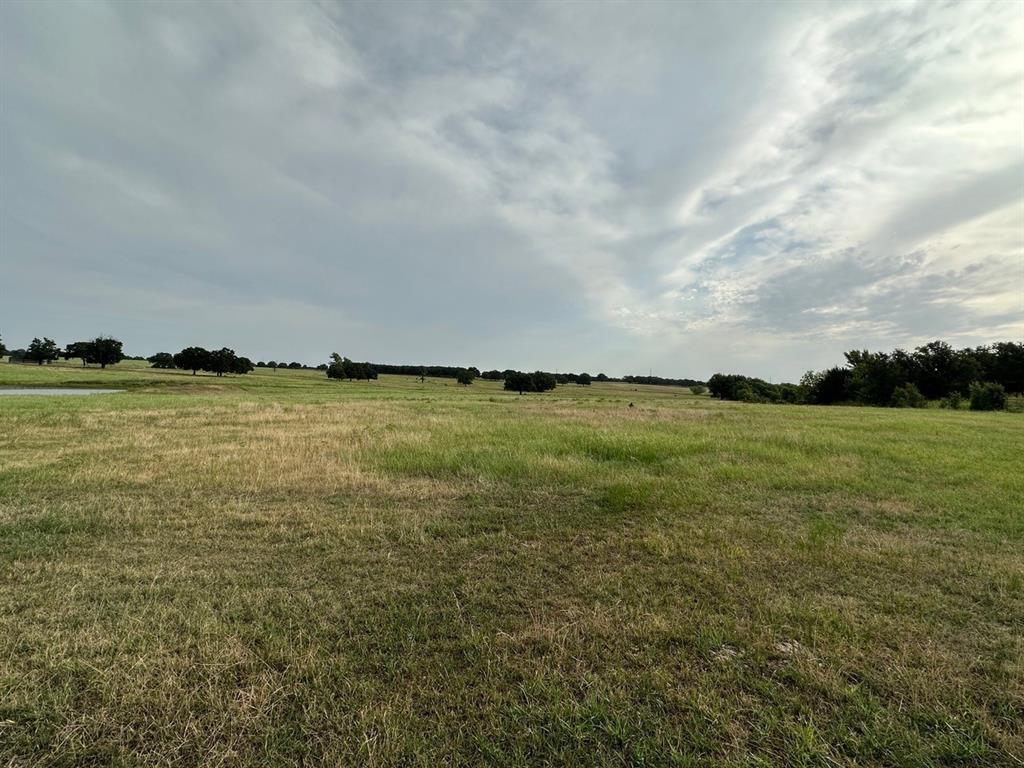 240 Acres William Scarbrough Survey - Farm