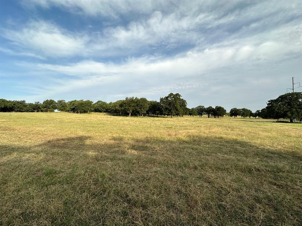 240 Acres William Scarbrough Survey - Farm