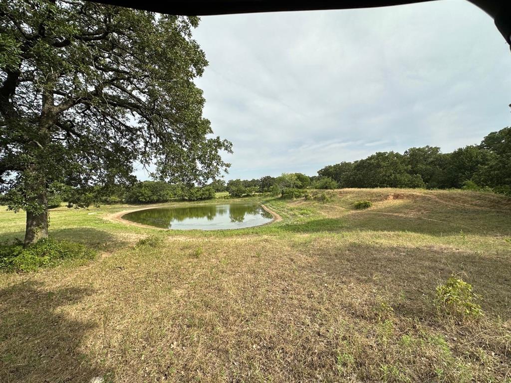 240 Acres William Scarbrough Survey - Farm