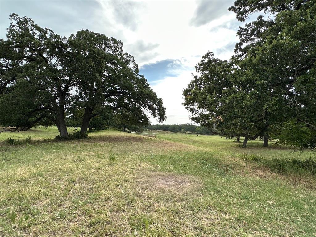 240 Acres William Scarbrough Survey - Farm