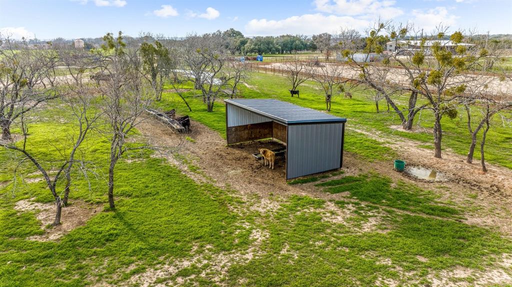 DISNEY RICHARD - Farm