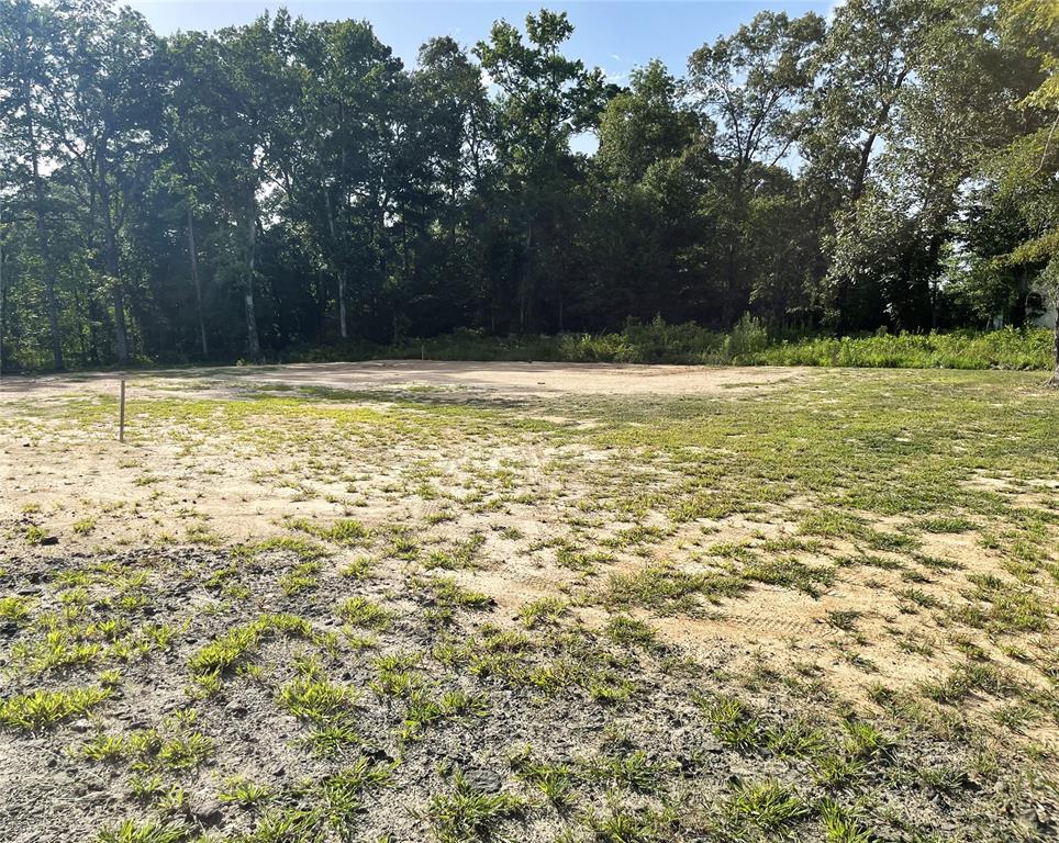 Merry Oaks Plantation #2 - Land