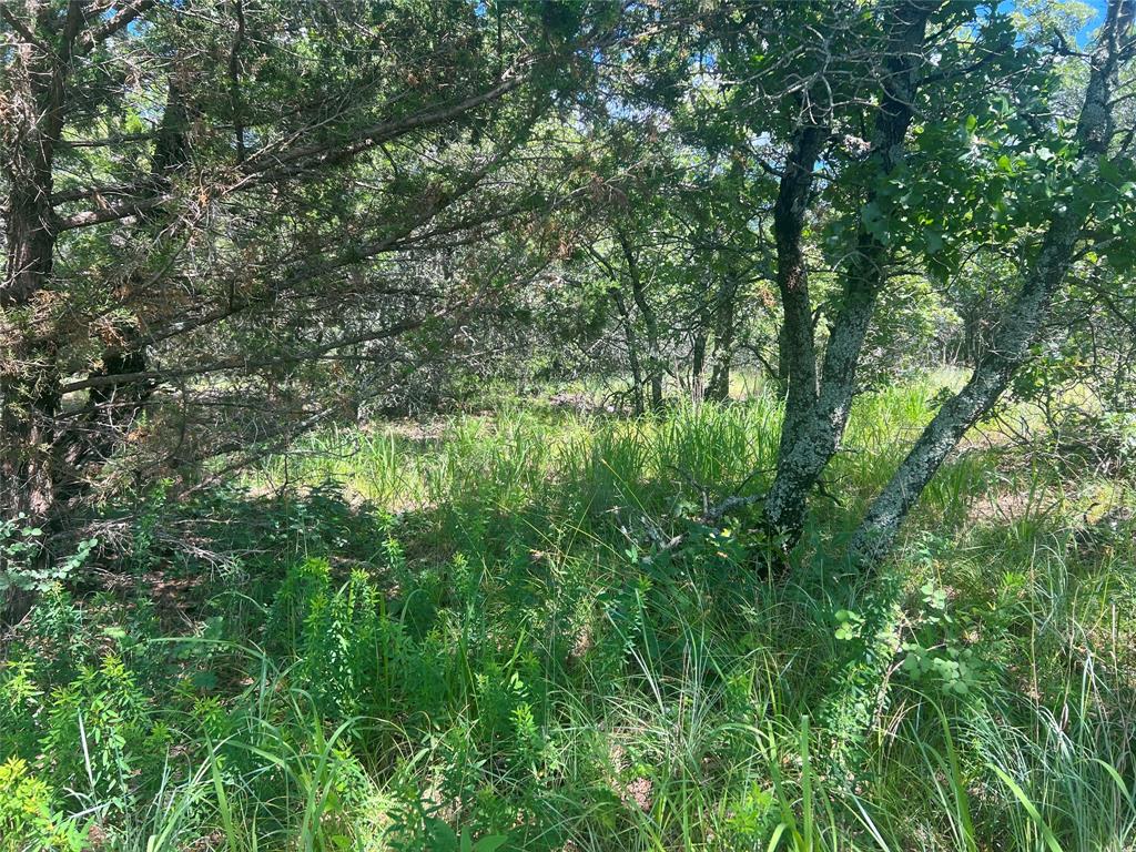 Silver Lakes Ranch - Land