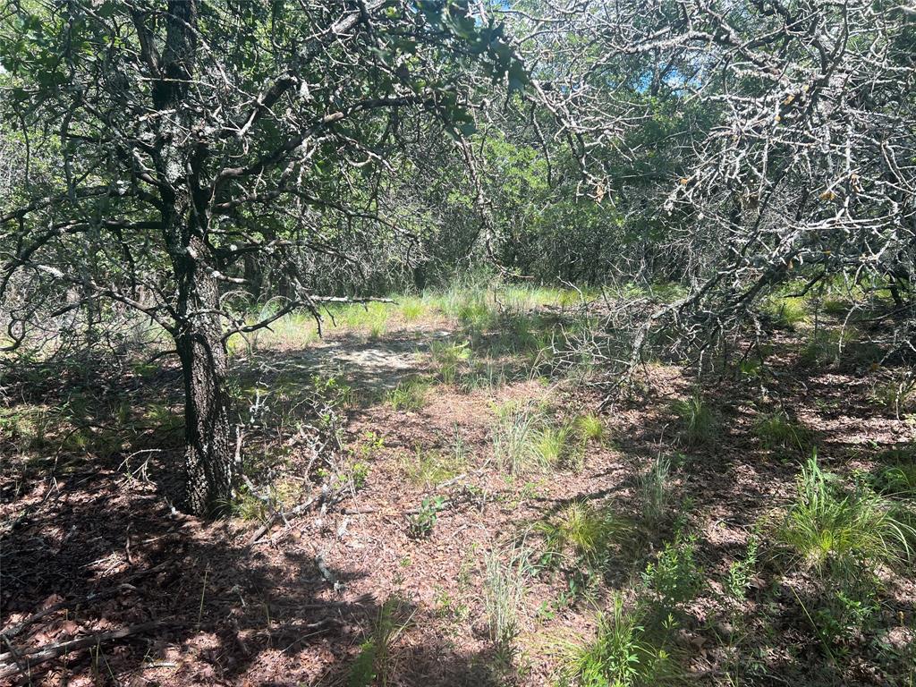 Silver Lakes Ranch - Land