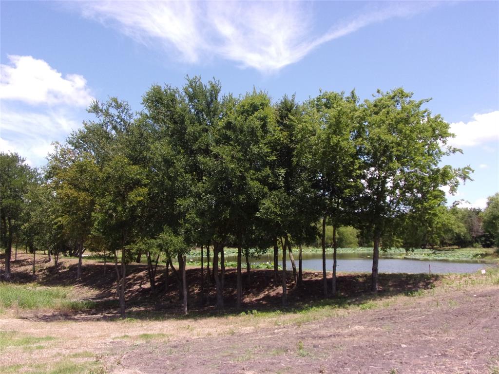 Vista Oaks Estates - Land