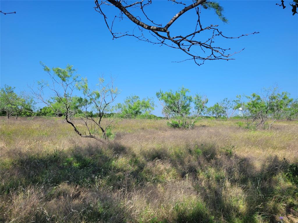 R-Pena - Land