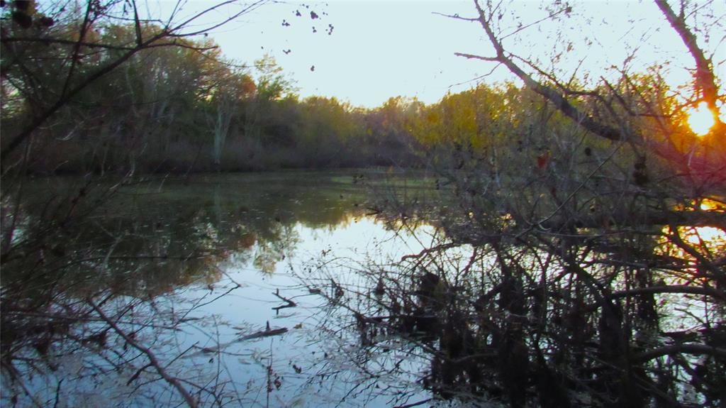 Wonderful 12 acres ready to build your home overlooking the huge pond. No known restrictions; Country charm, small town privacy while Super convenient to Commerce, Greenville, S.Spgs, and North Dallas shopping and dining in Mckinney, Allen, Frisco. Water well onsite-see map; potability undetermined; Utilities at the road- confirm availability with provider. Text CR4736 to broker for map and other links. More photos coming soon.